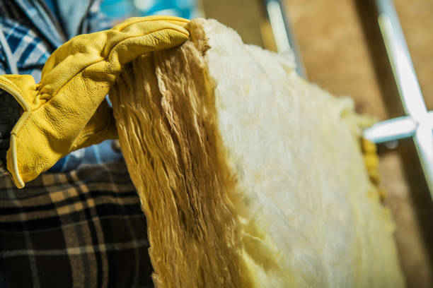 Best Insulation Maintenance and Repair in Coronita, CA