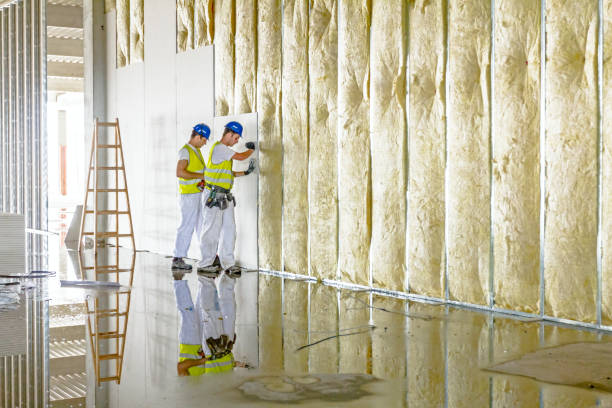 Best Geographic-Specific Insulation Services in Coronita, CA
